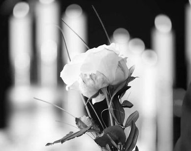 laidotovių gėlės